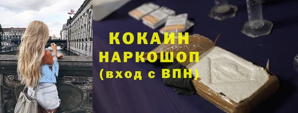 молекула духа Горнозаводск