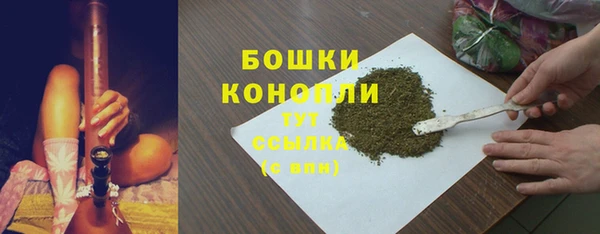 молекула духа Горнозаводск