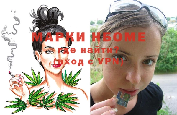 молекула духа Горнозаводск