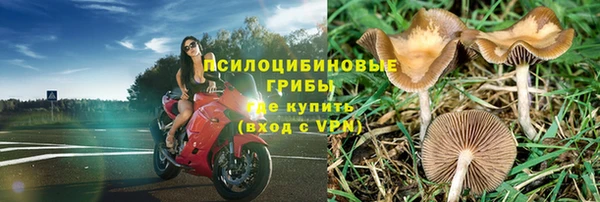 молекула духа Горнозаводск