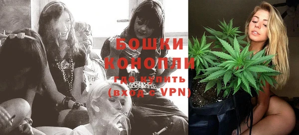 молекула духа Горнозаводск